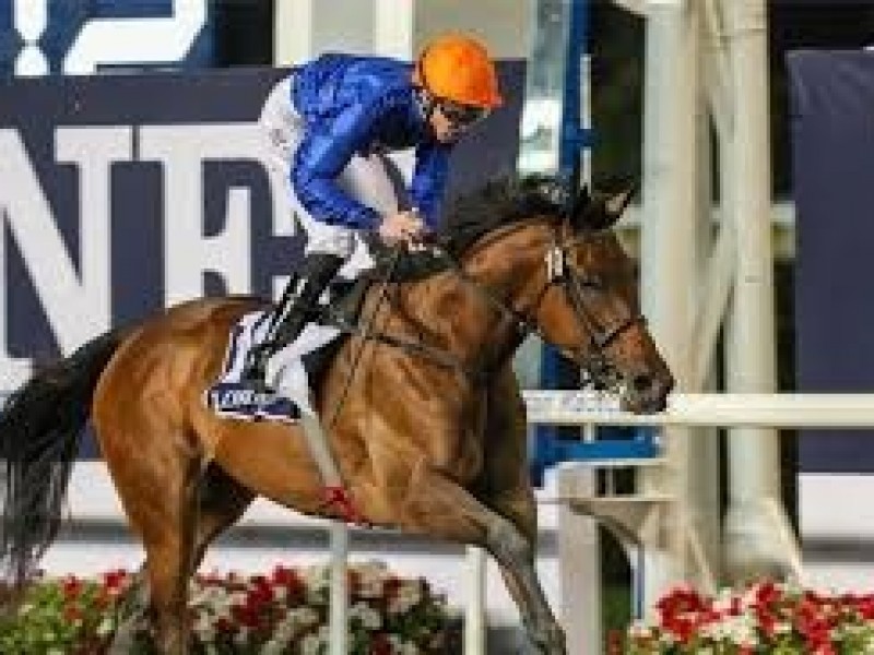 Godolphin Derby Quest Stretches From England to Japan Image 2